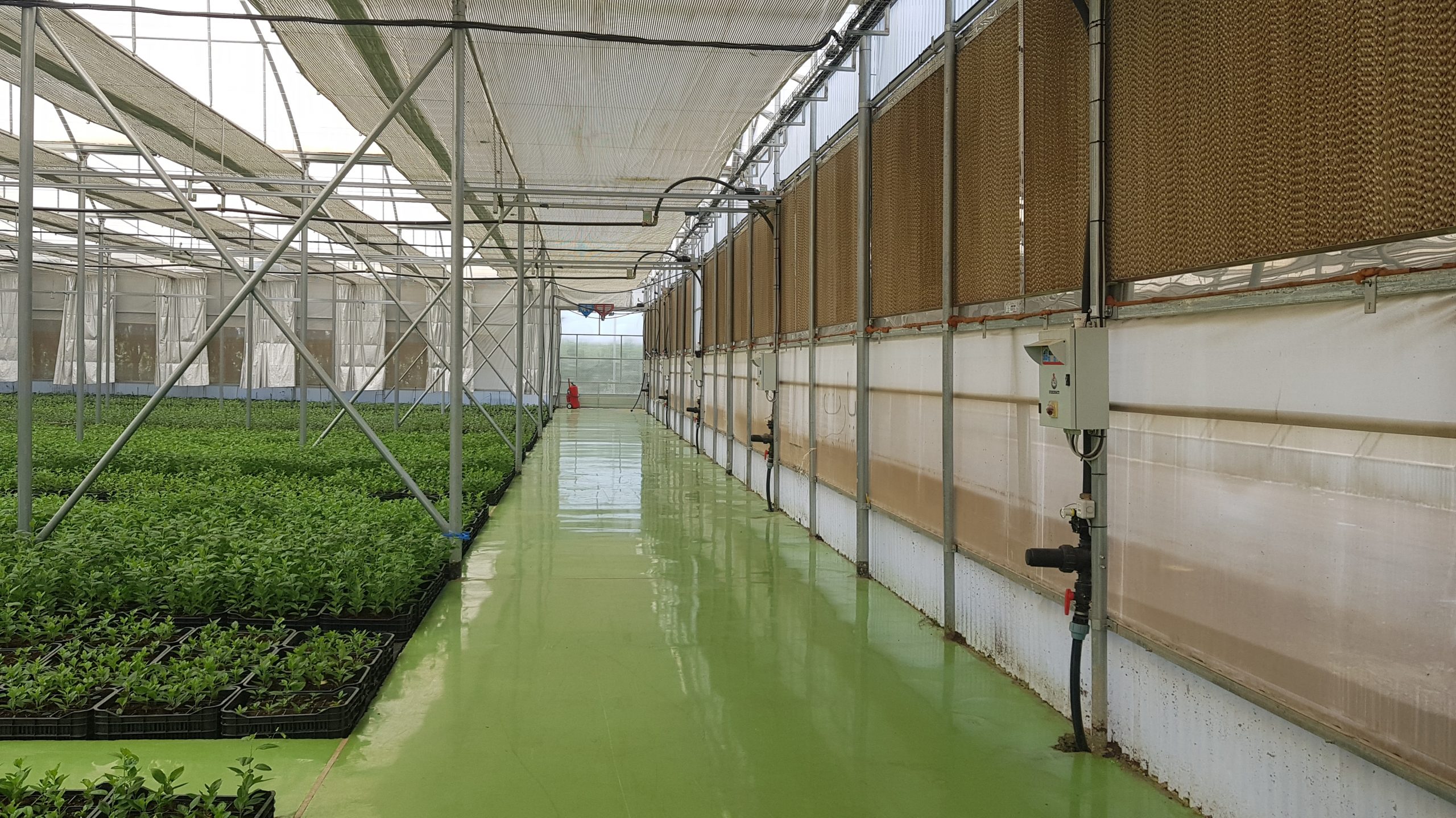 Système de refroidissement