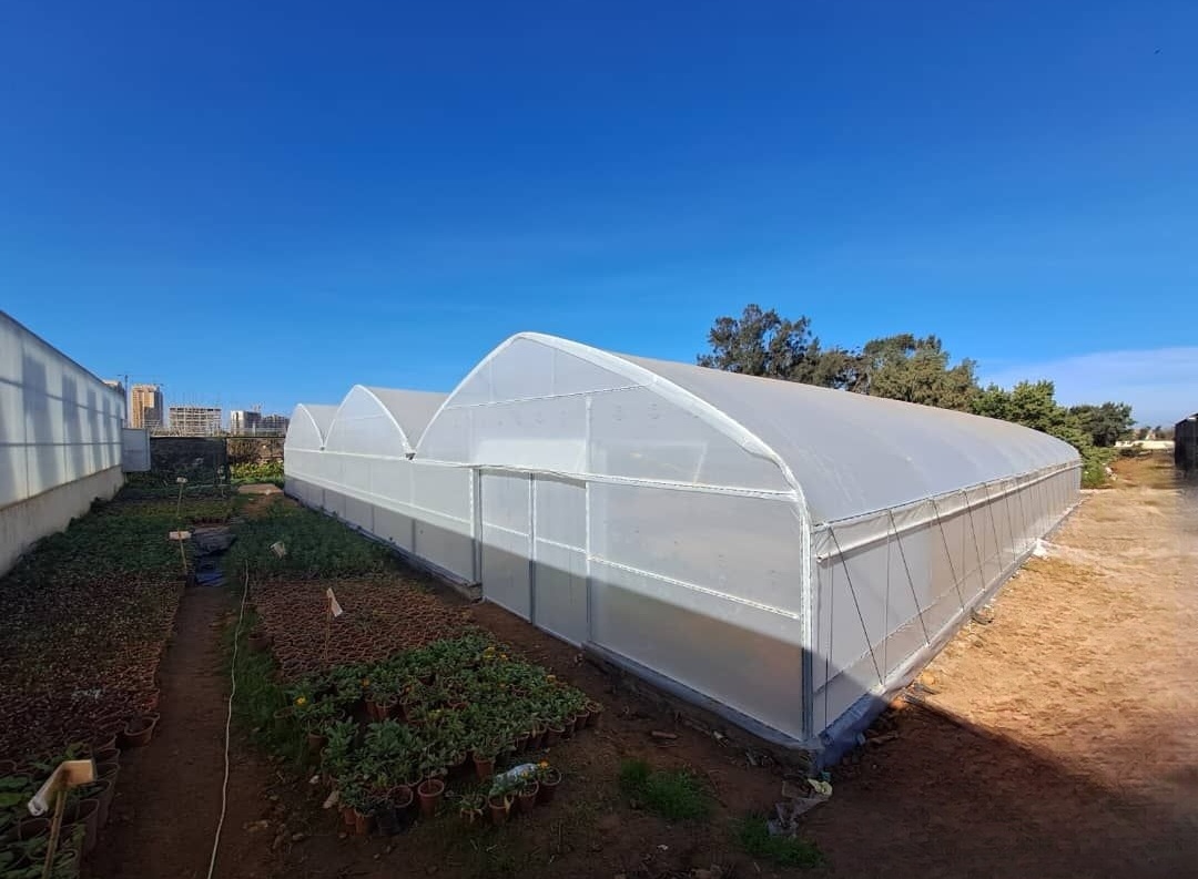 Serres multi-tunnels image