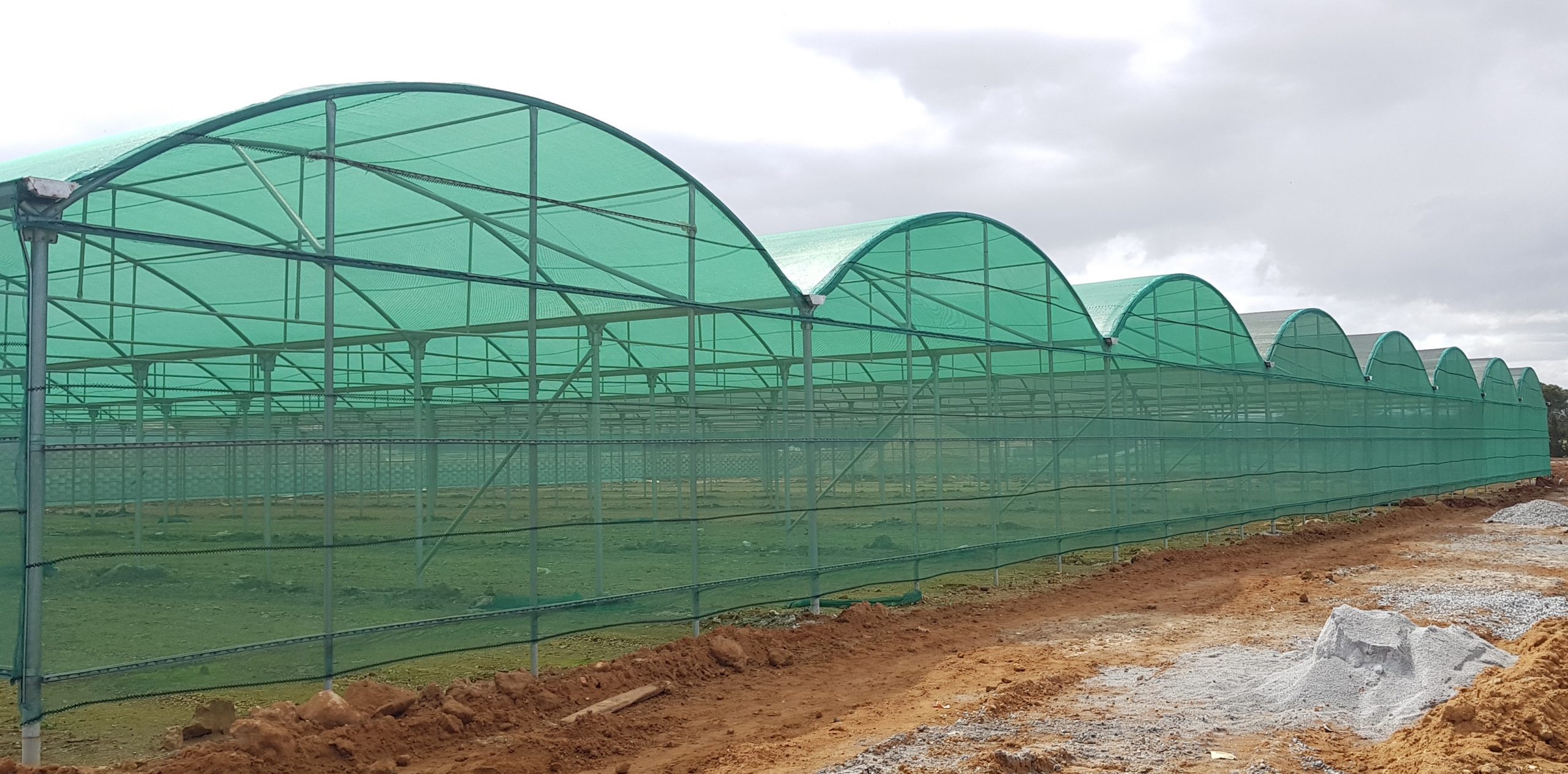 Serres multi-chapelles circulaires image